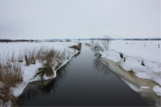 Hochdonner Au im Winter, in Dithmarschen, Nhe Nordsee
