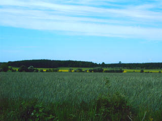 Dithmarschen an der Westkste von Schleswig-Holstein